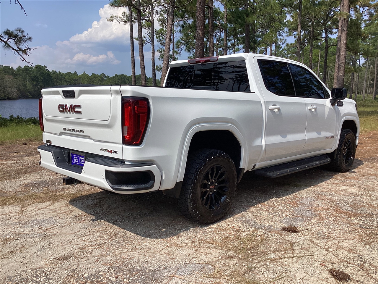 GMC Sierra 1500 4WD Crew Cab 147" AT4X 2022