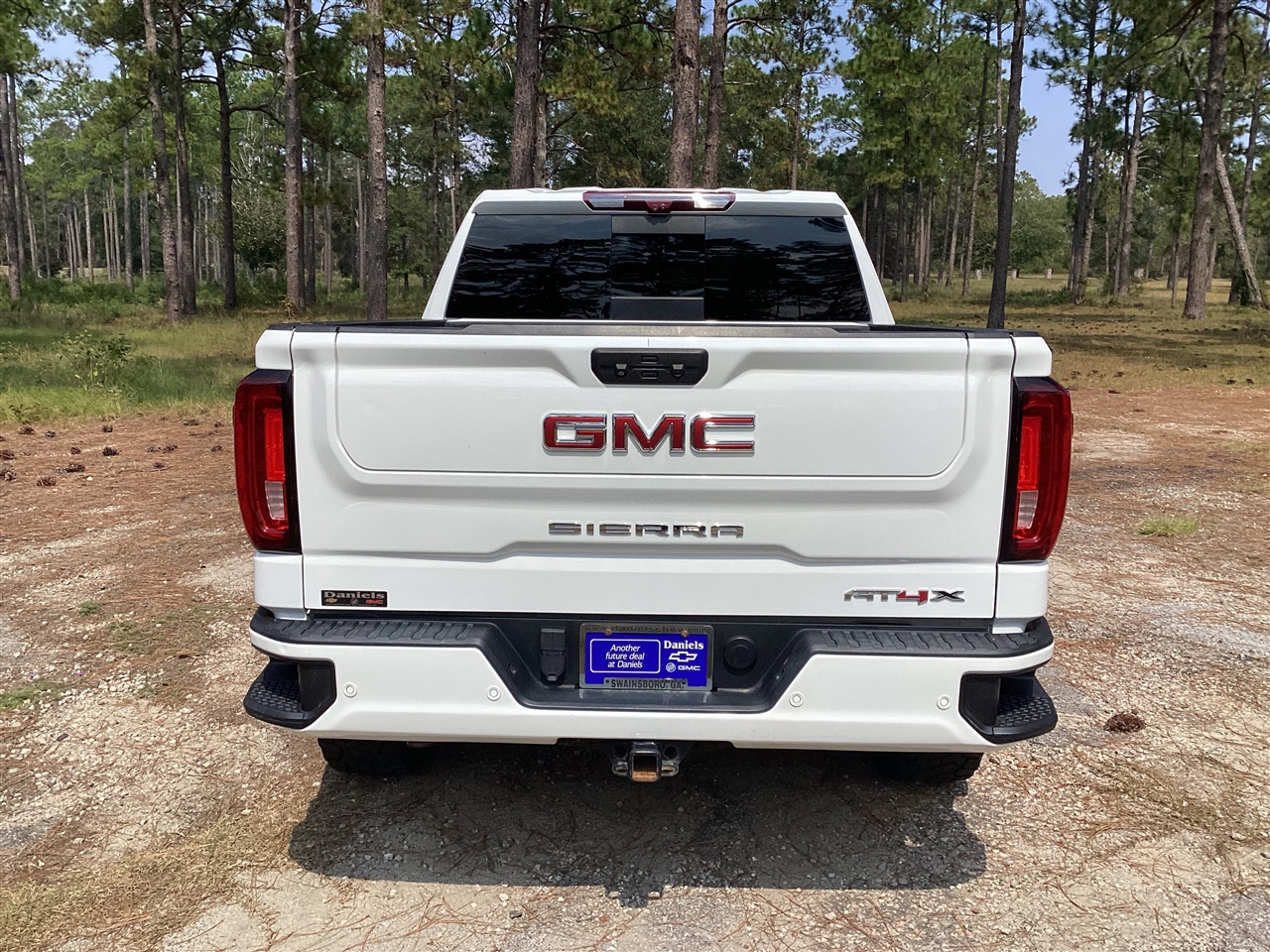 GMC Sierra 1500 4WD Crew Cab 147" AT4X 2022