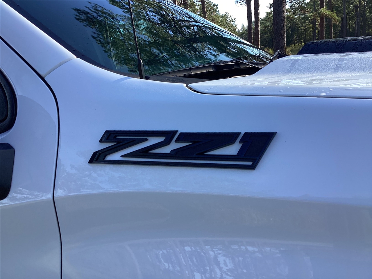 Chevrolet Silverado 1500 4WD Crew Cab 147" Custom Trail Boss 2024