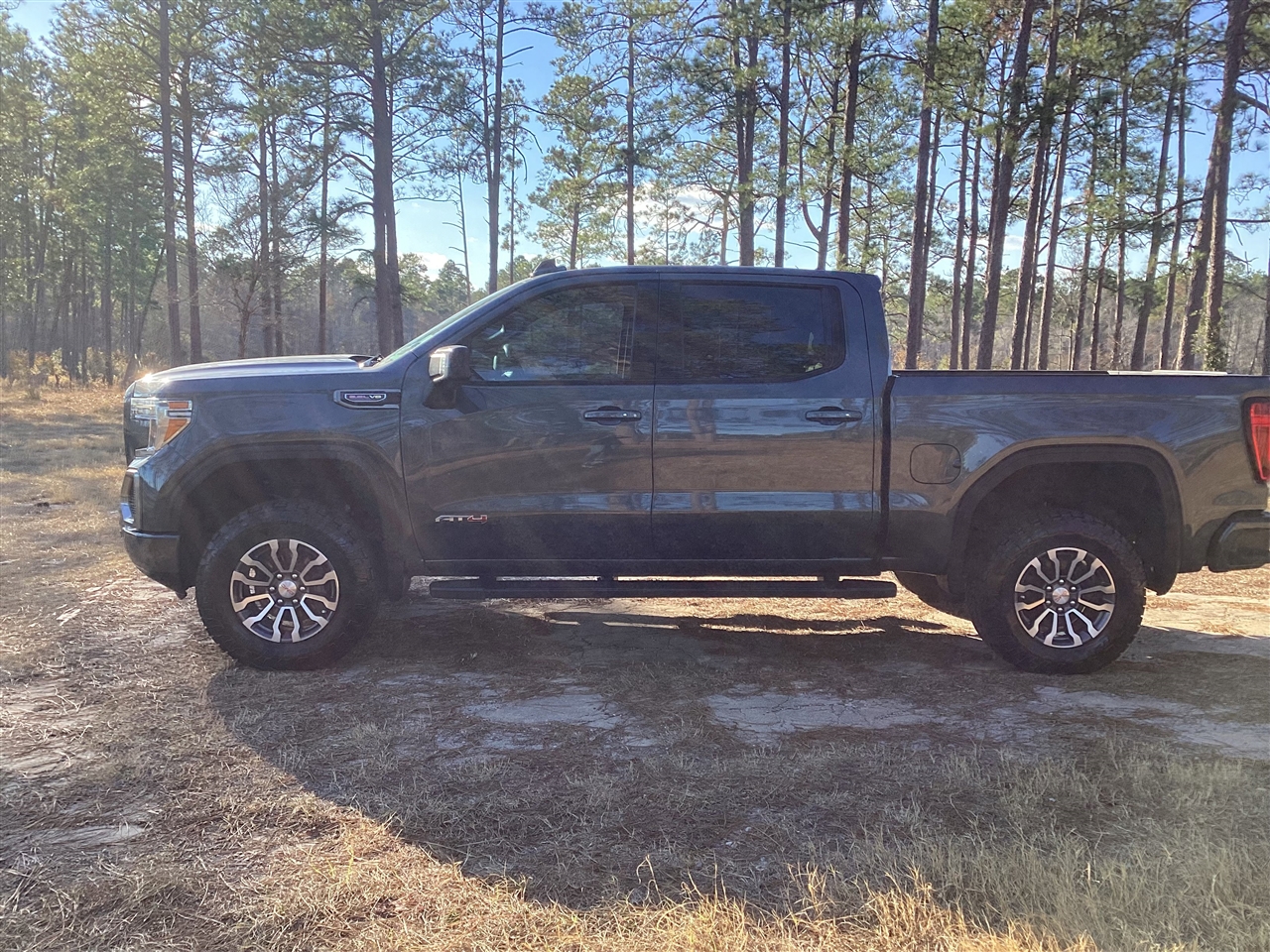 GMC Sierra 1500 4WD Crew Cab 147" AT4 2019