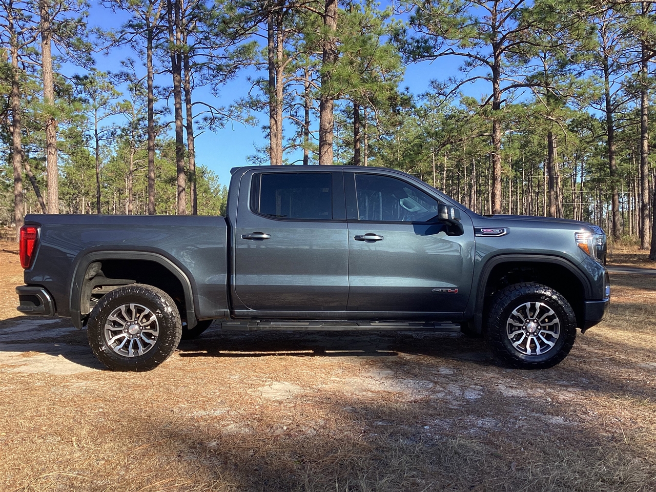 GMC Sierra 1500 4WD Crew Cab 147" AT4 2019