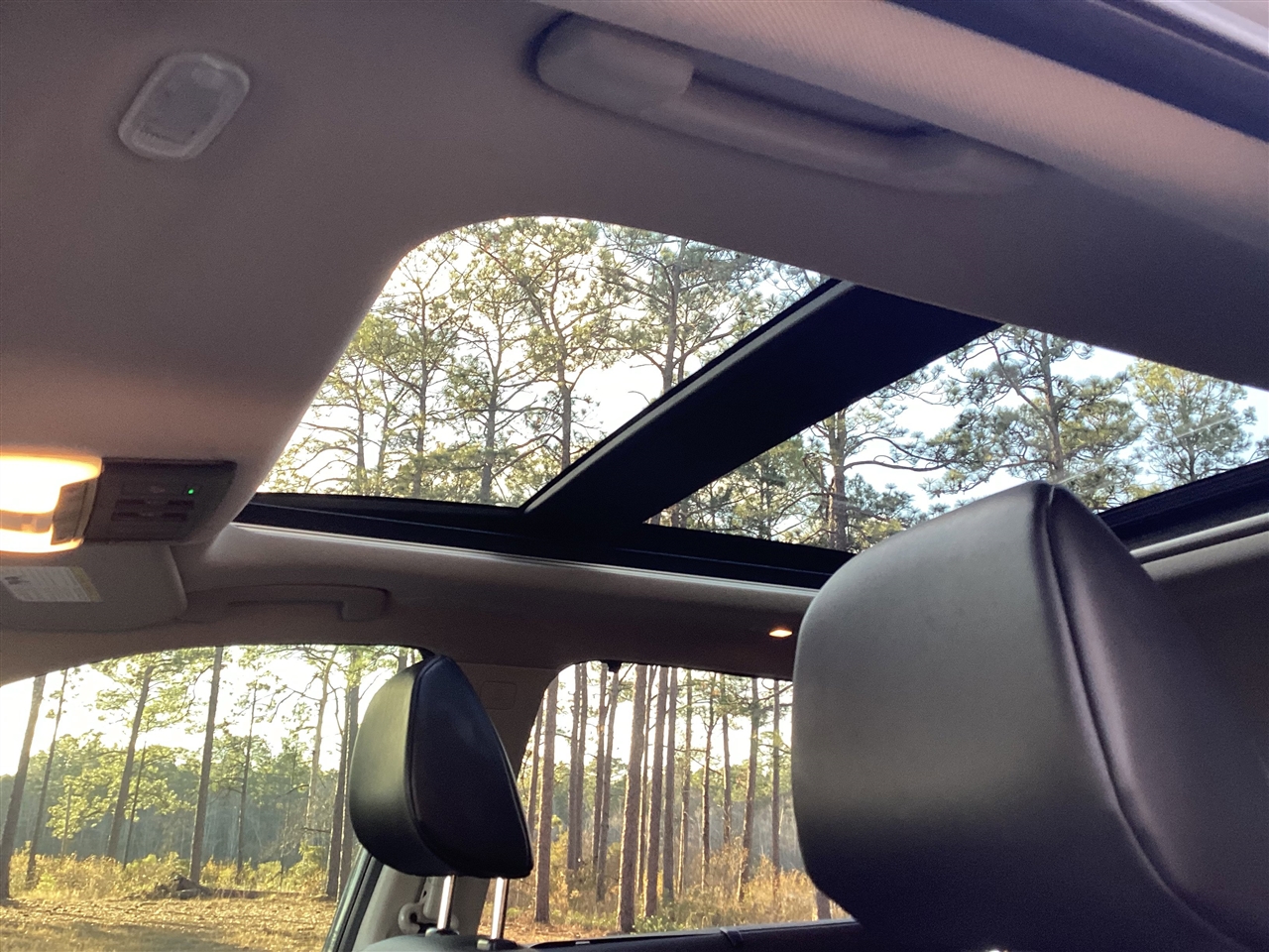 Nissan Rogue AWD SV 2021