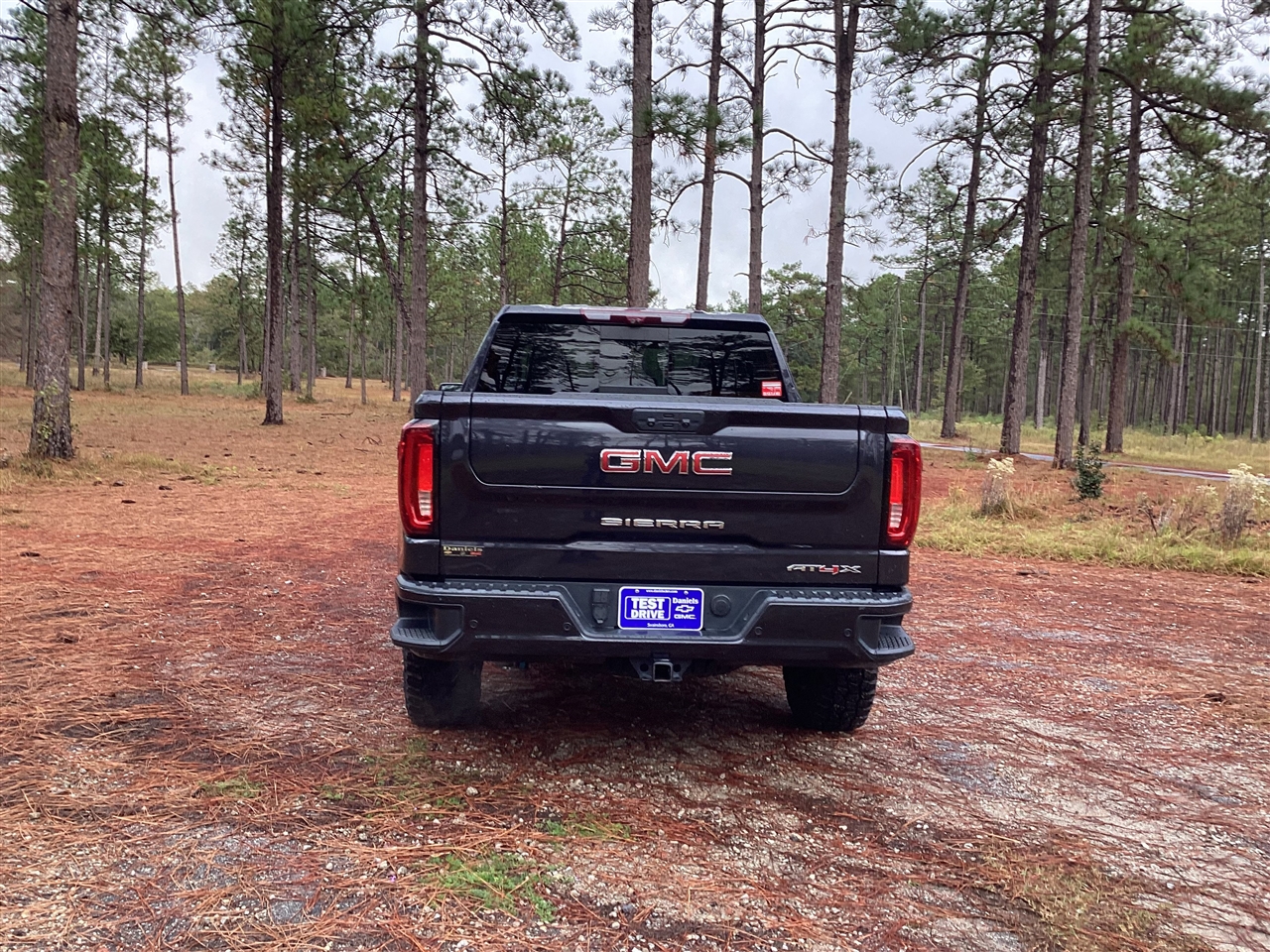 GMC Sierra 1500 4WD Crew Cab 147" AT4X 2023
