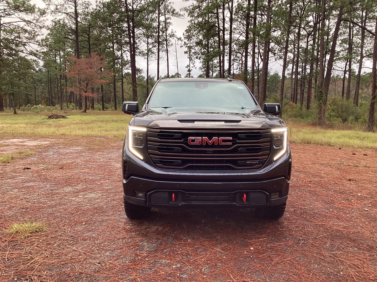 GMC Sierra 1500 4WD Crew Cab 147" AT4X 2023