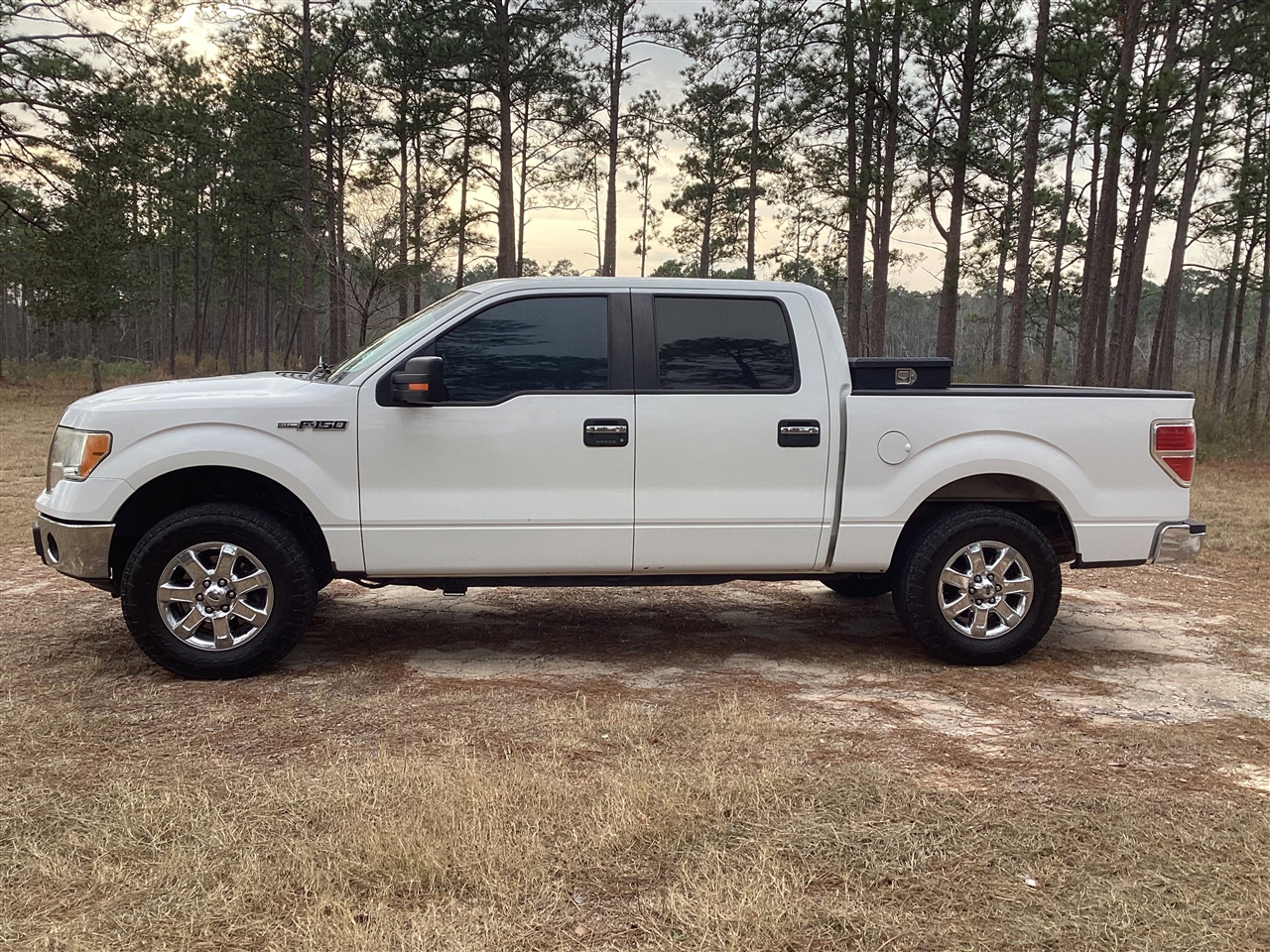 Ford F-150 2WD SuperCrew 145" Harley-Davidson 2010