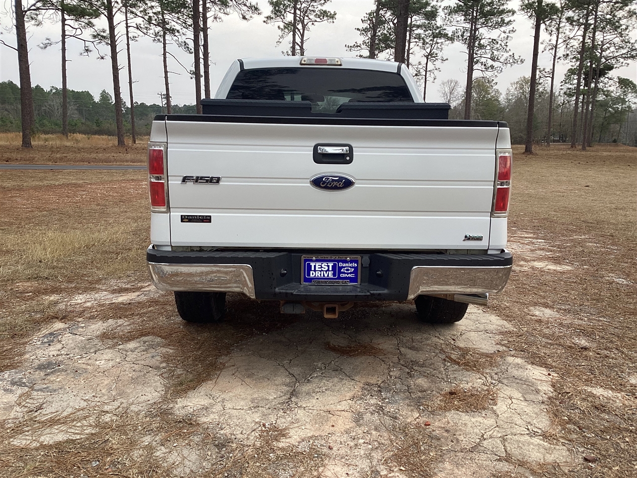 Ford F-150 2WD SuperCrew 145" Harley-Davidson 2010