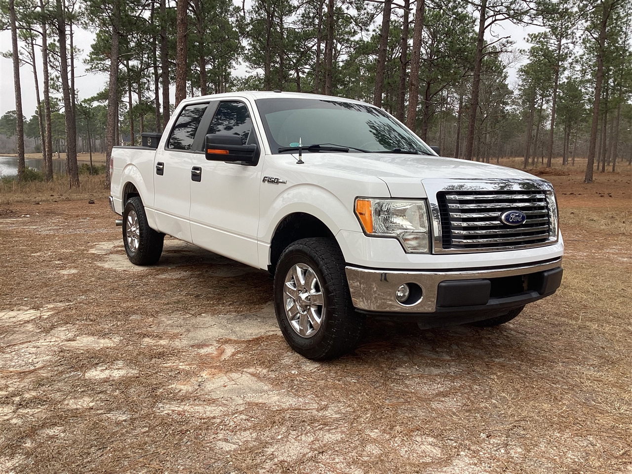 Ford F-150 2WD SuperCrew 145" Harley-Davidson 2010