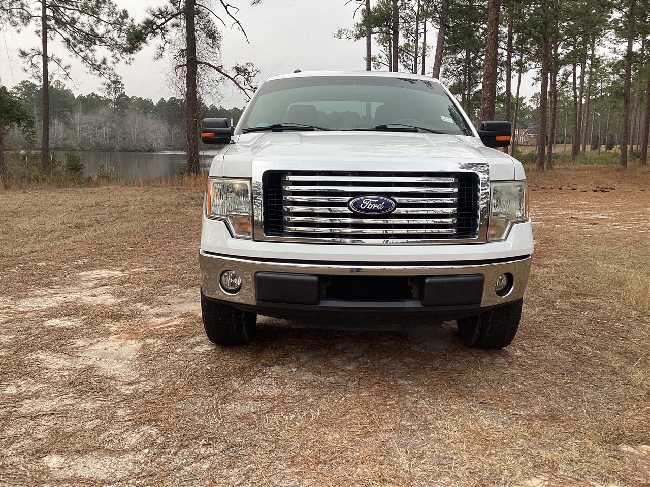 Ford F-150 2WD SuperCrew 145" Harley-Davidson 2010