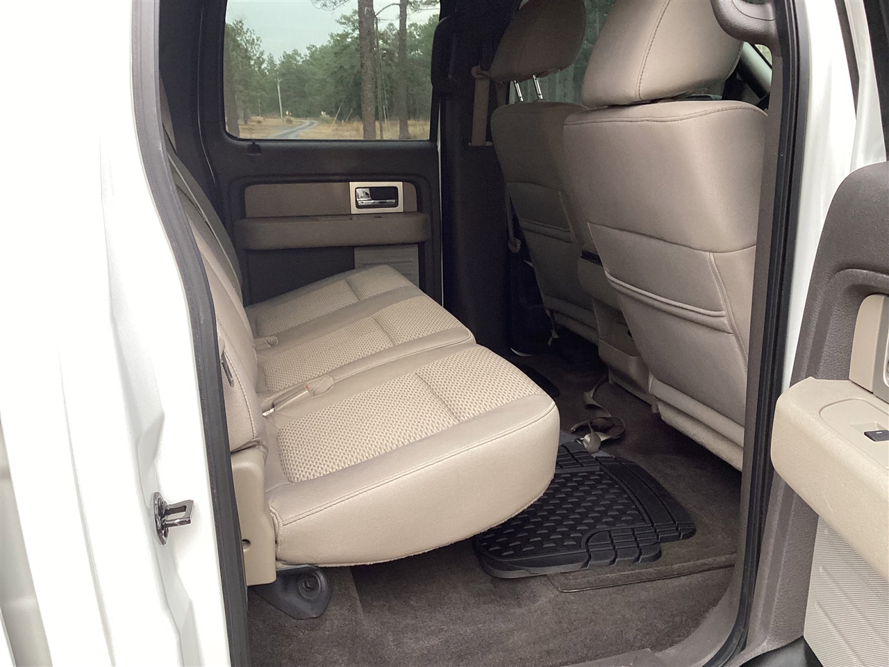 Ford F-150 2WD SuperCrew 145" Harley-Davidson 2010