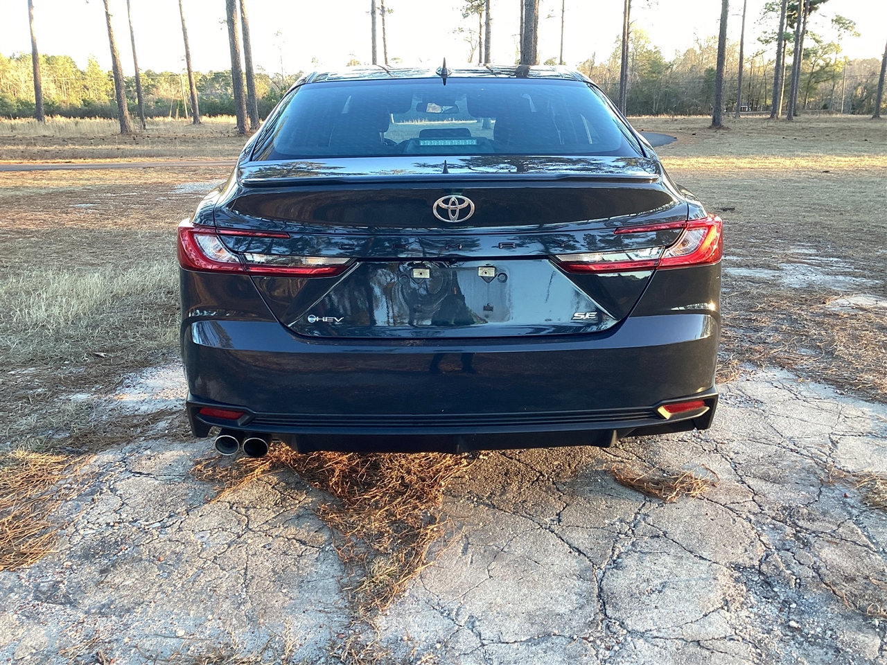 Toyota Camry XLE (Natl) 2025