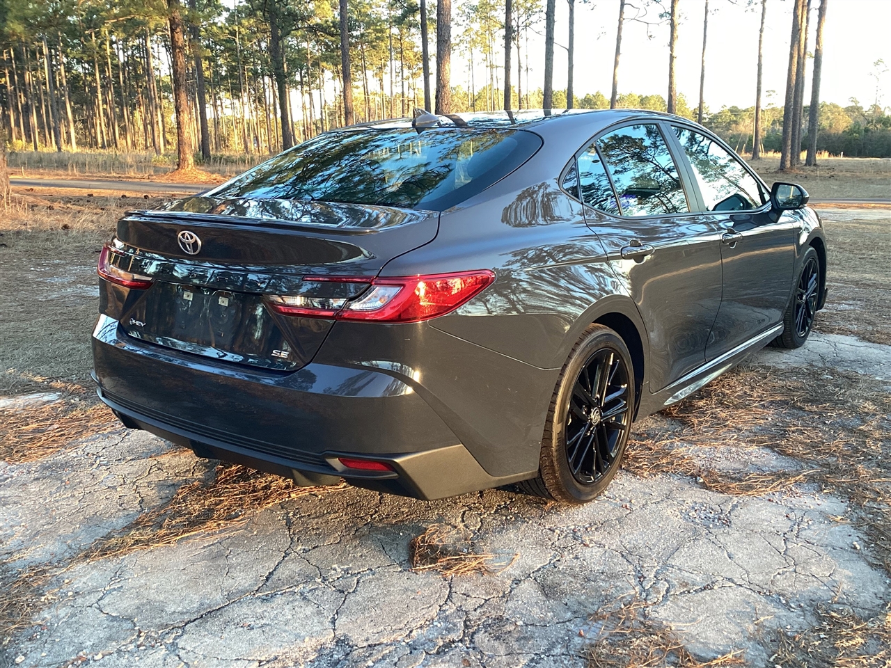 Toyota Camry XLE (Natl) 2025