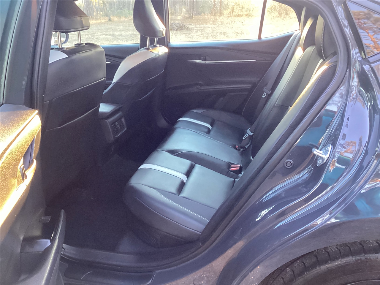 Toyota Camry XLE (Natl) 2025