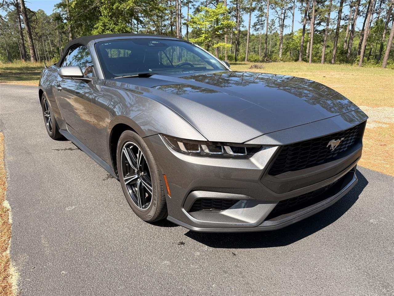 Ford Mustang EcoBoost Convertible 2024