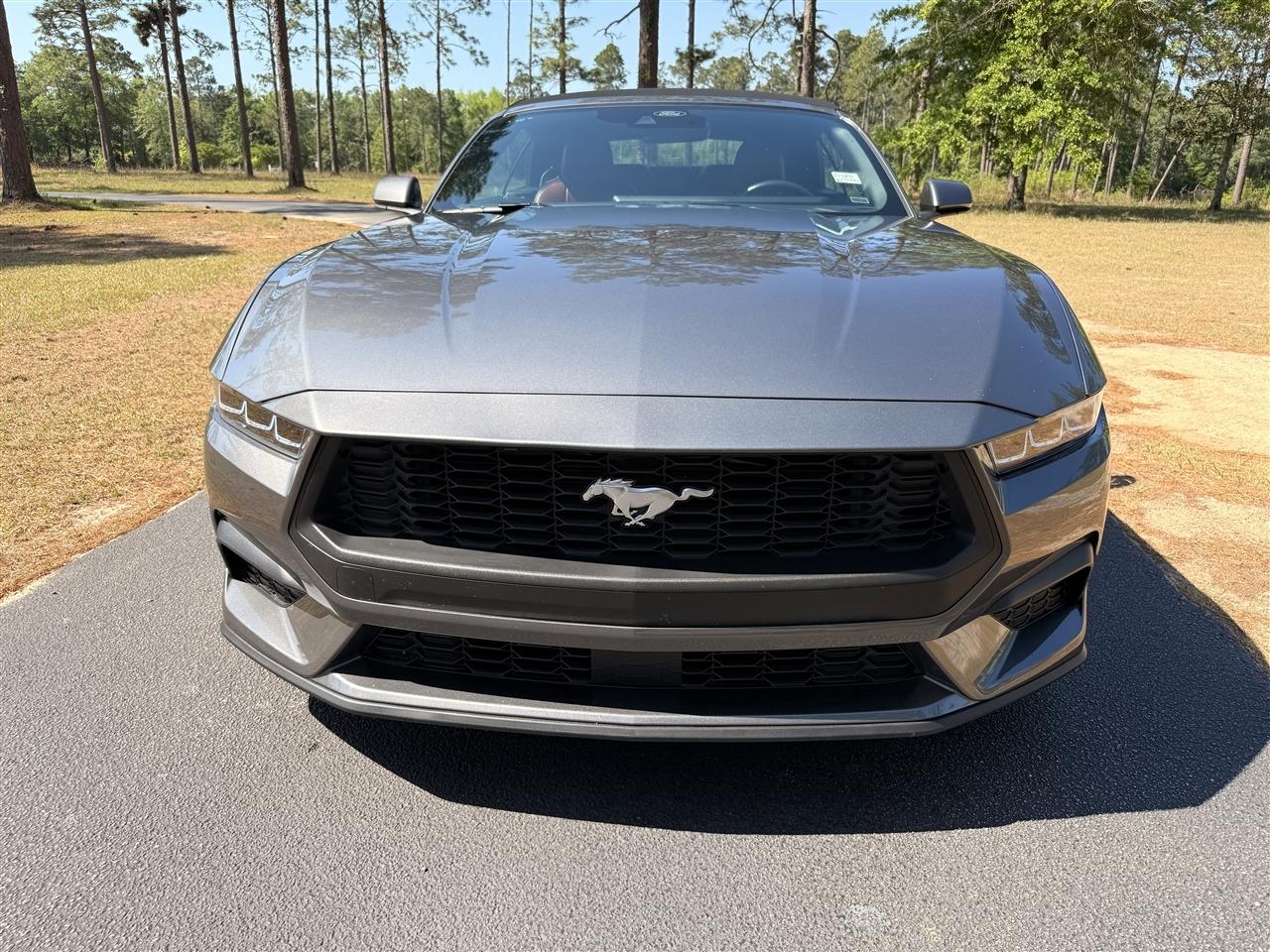 Ford Mustang EcoBoost Convertible 2024
