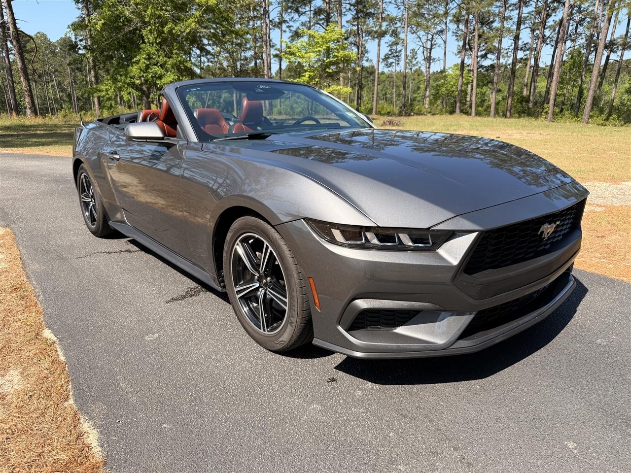 Ford Mustang EcoBoost Convertible 2024