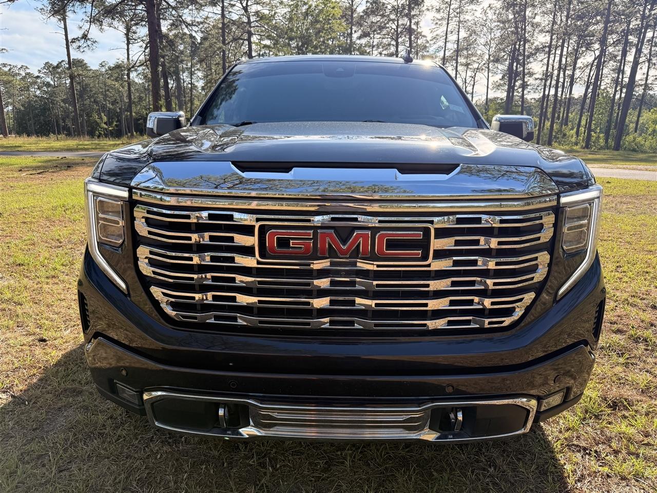 GMC Sierra 1500 4WD Crew Cab 147" Denali 2022
