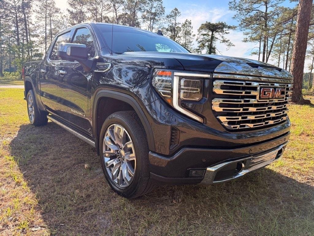 GMC Sierra 1500 4WD Crew Cab 147" Denali 2022