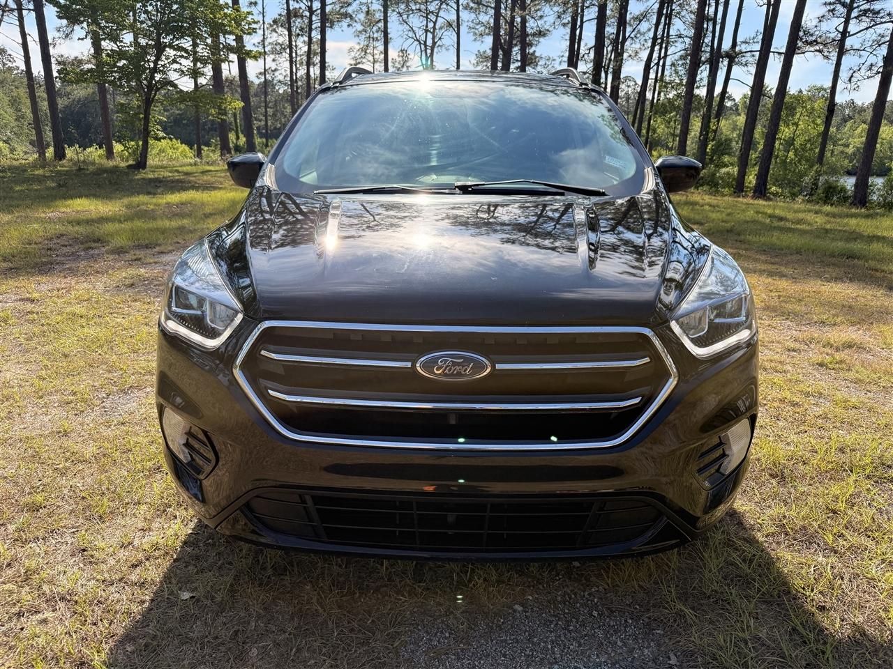 Ford Escape SE FWD 2019