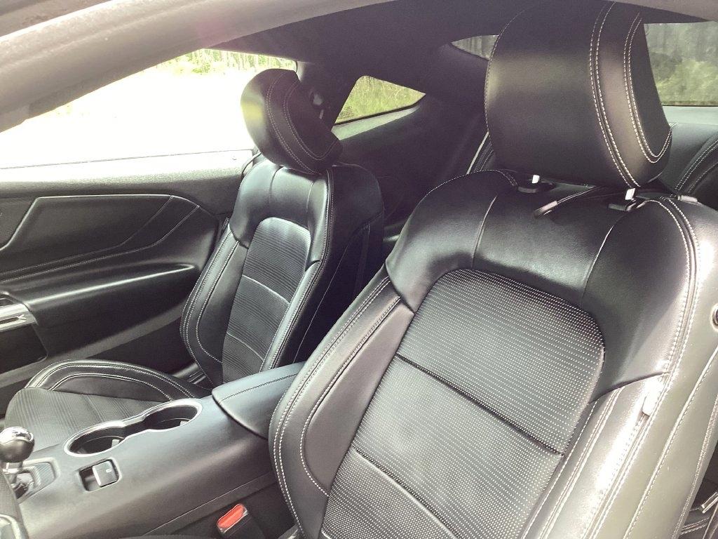Ford Mustang GT Fastback 2024