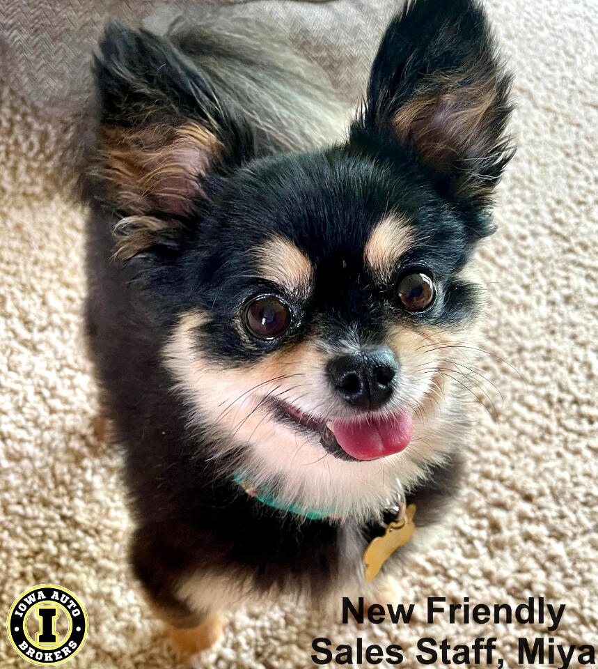 Acura RDX SH-AWD w/Technology Package 2008