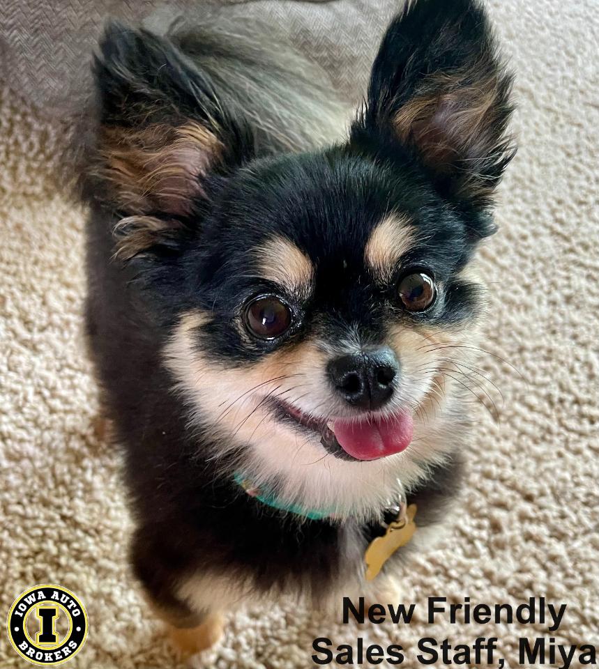 Honda CR-V Touring AWD 2017