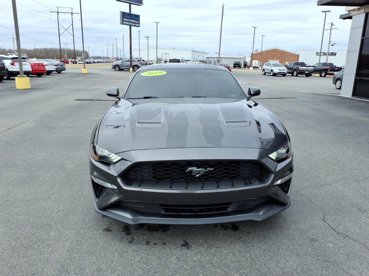 Ford Mustang EcoBoost Fastback 2019