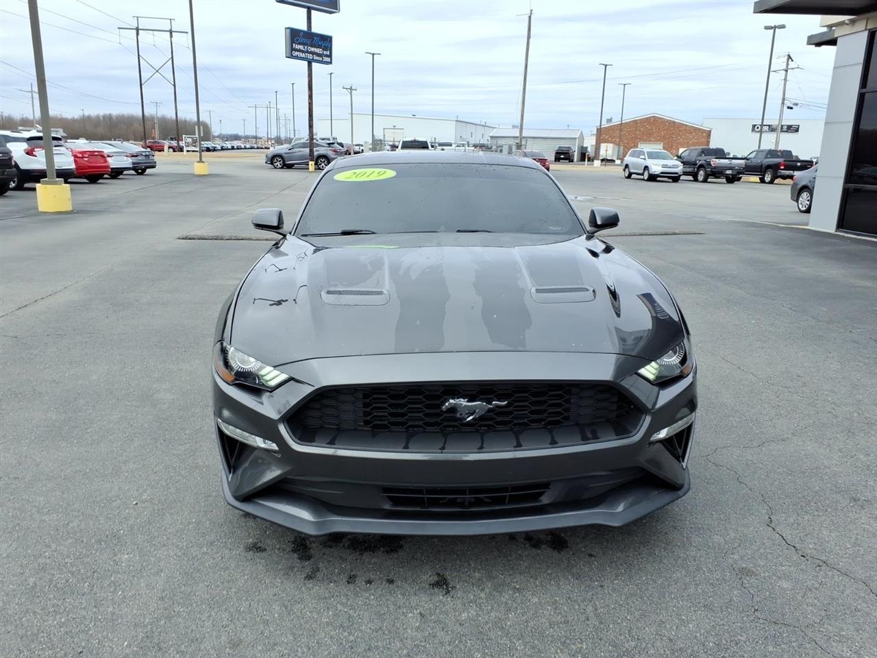 Ford Mustang EcoBoost Fastback 2019
