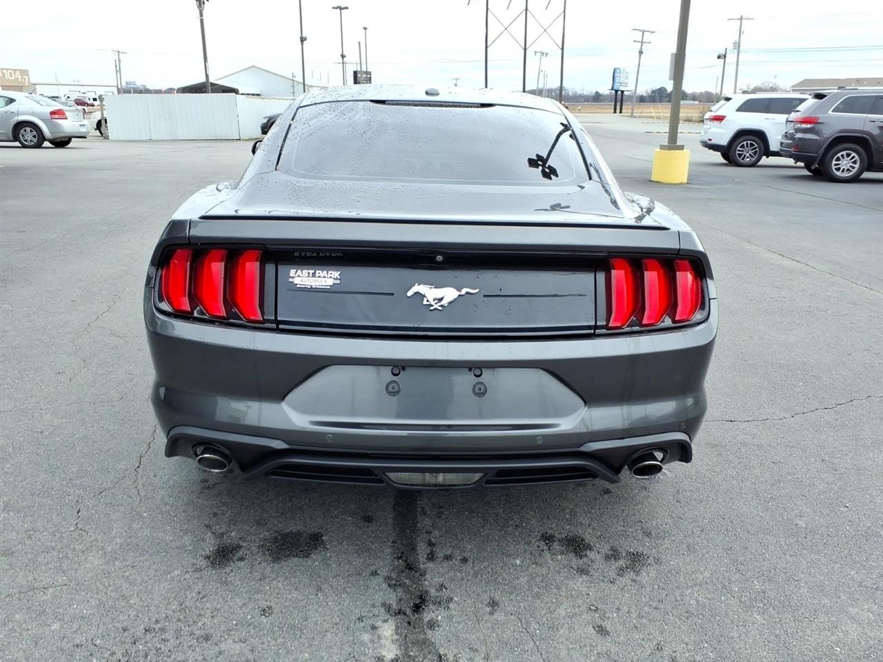Ford Mustang EcoBoost Fastback 2019