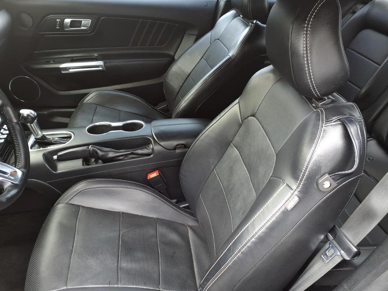 Ford Mustang EcoBoost Fastback 2019