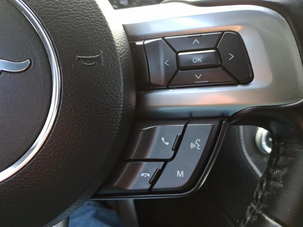 Ford Mustang EcoBoost Fastback 2019