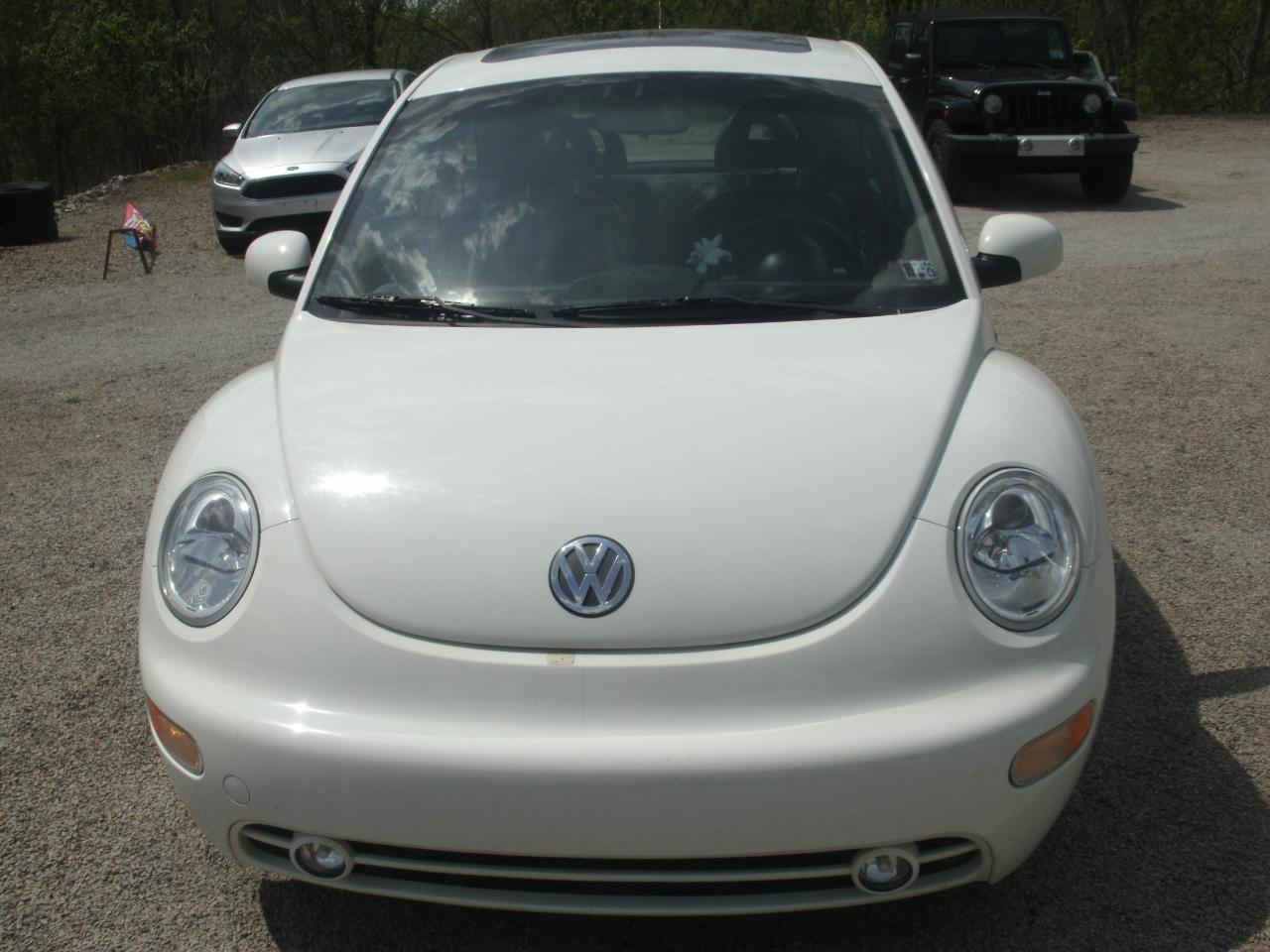 Volkswagen New Beetle GLX 2001