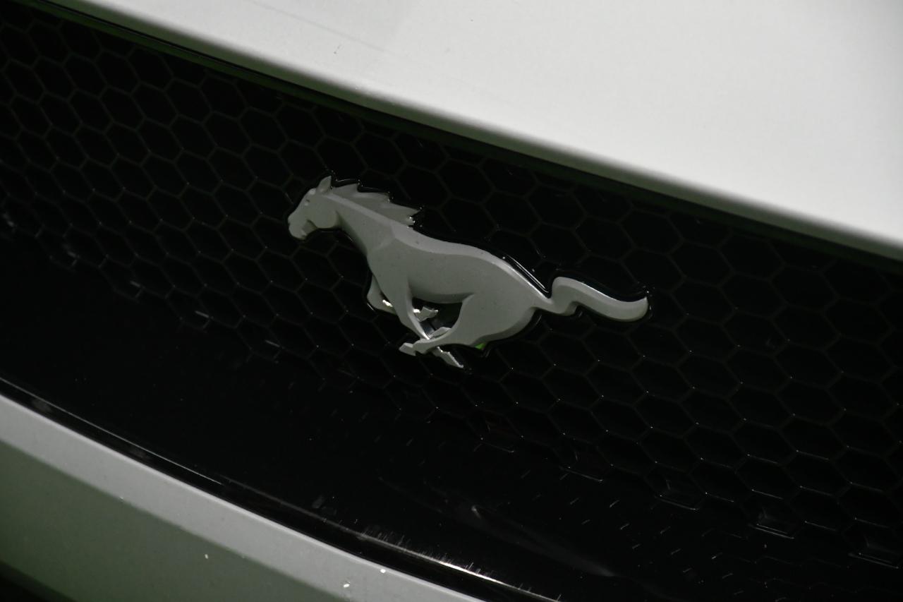 Ford Mustang GT Coupe 2020