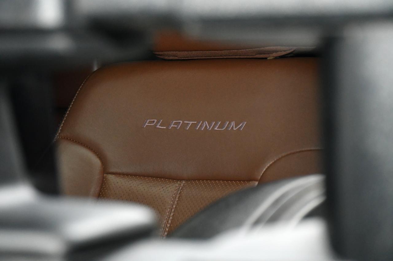 Ford F-250 SD Platinum Crew Cab 4WD 2016