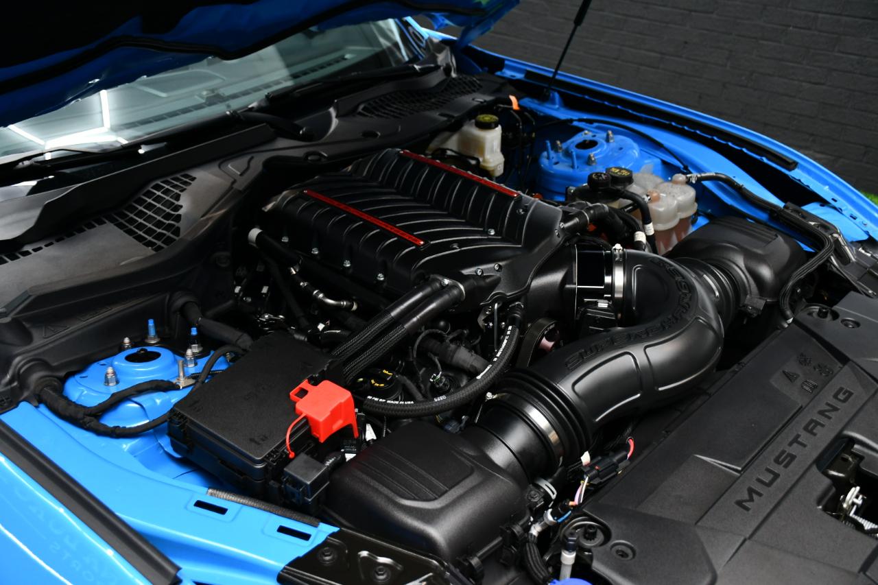 Ford Mustang GT Premium Coupe 2024