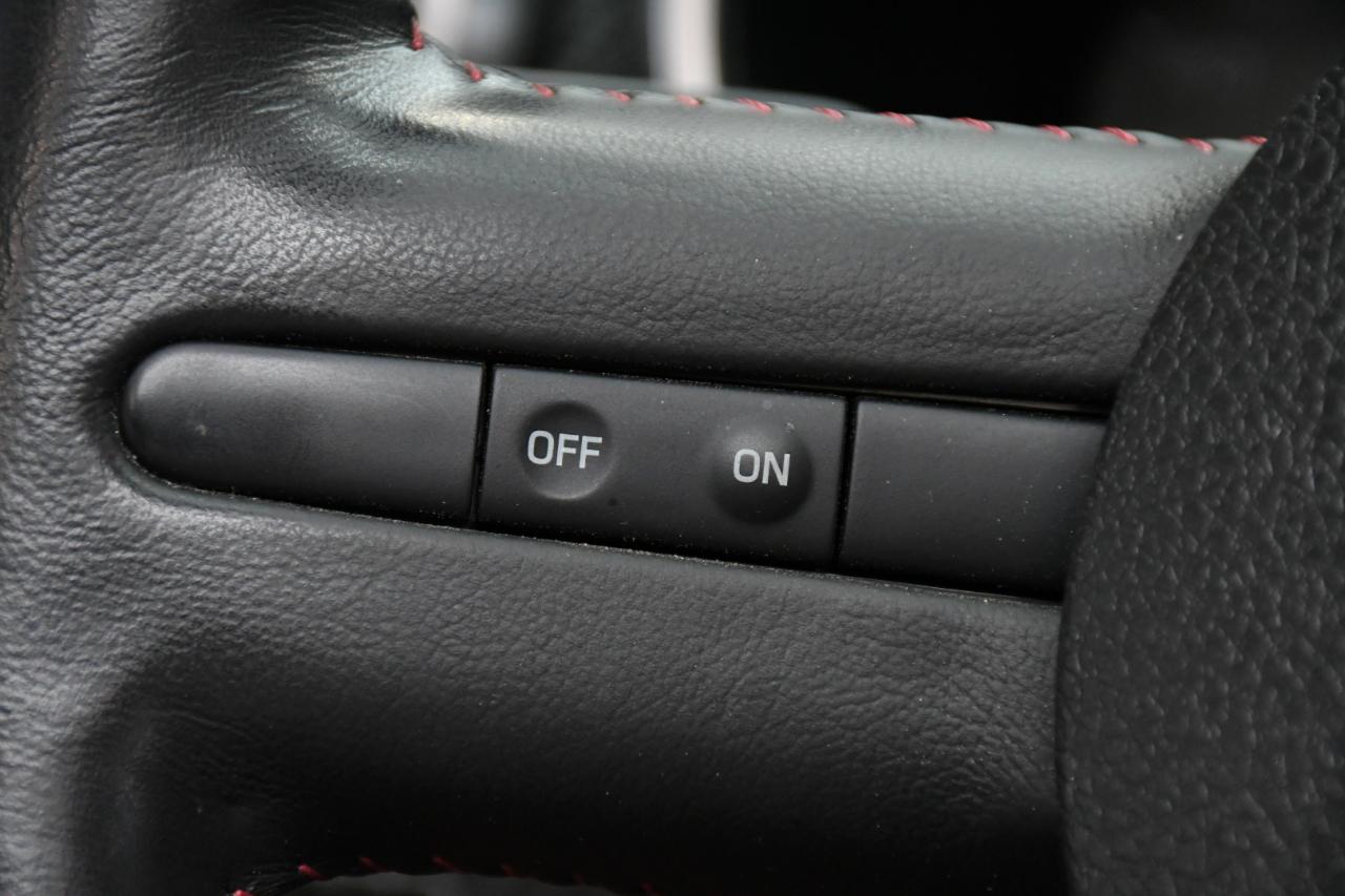 Ford Shelby GT500 Convertible 2007