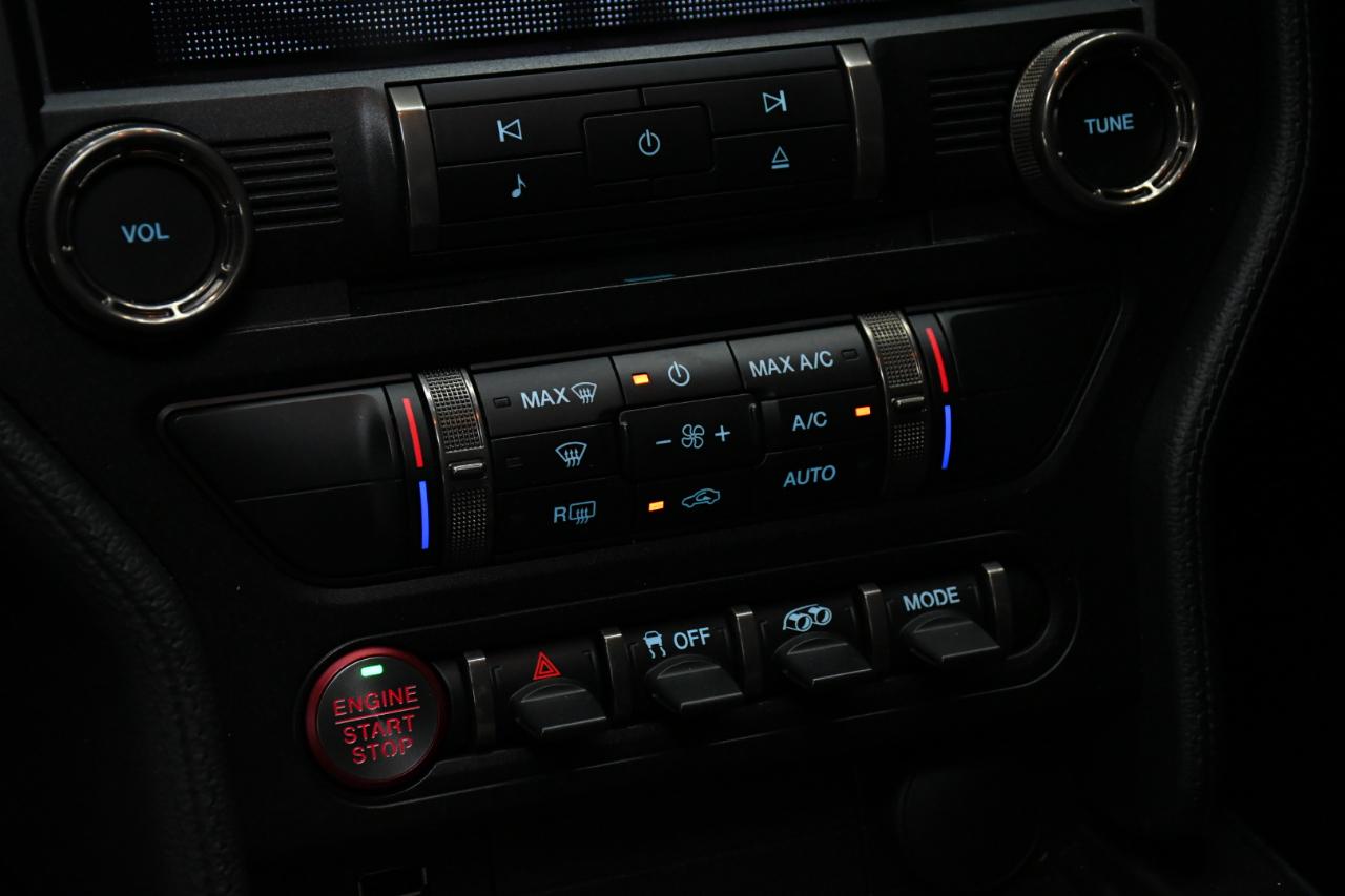 Ford Shelby GT500 Coupe 2020