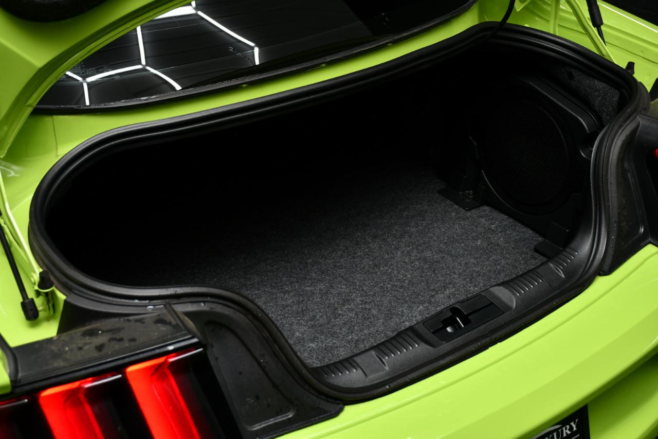 Ford Shelby GT500 Coupe 2020