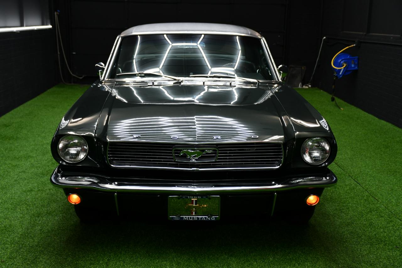 Ford Mustang  1966