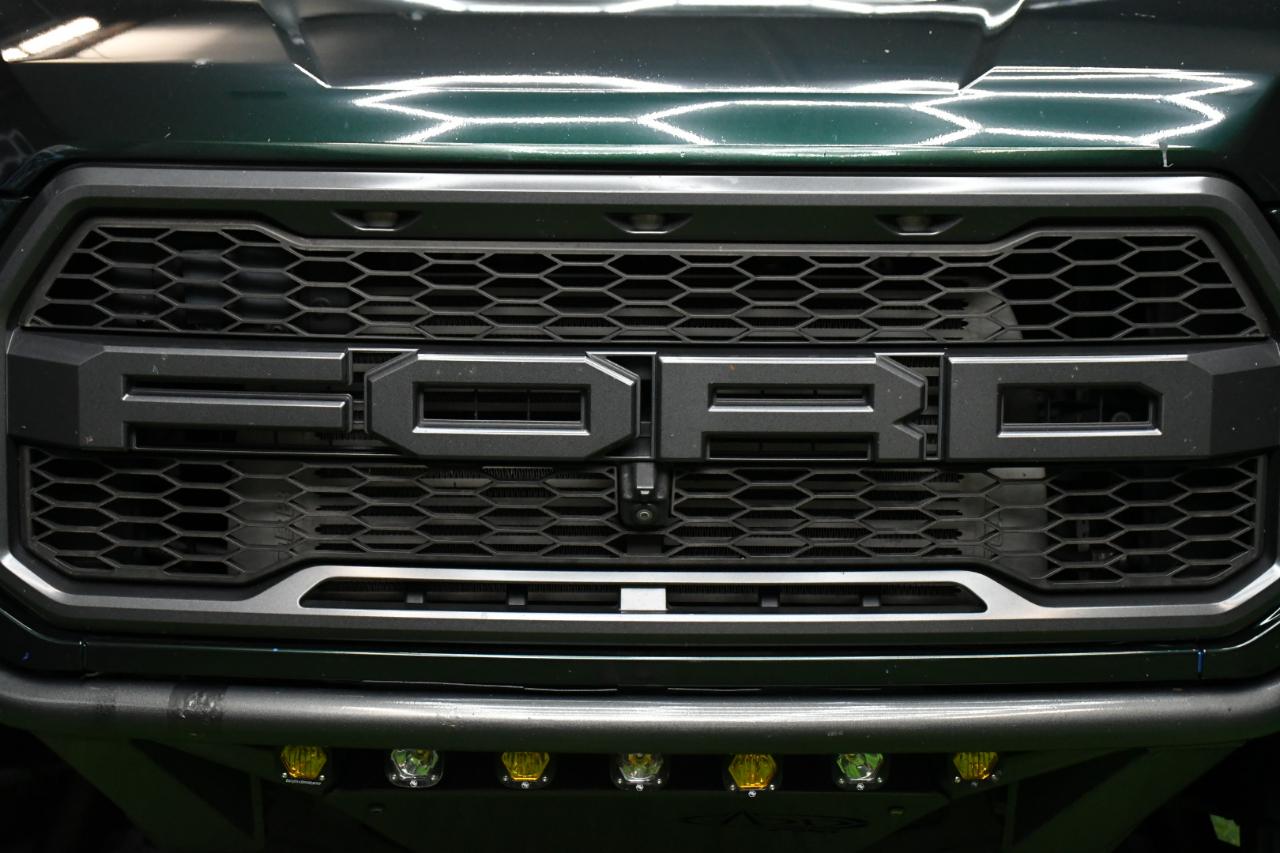 Ford F-150 Raptor SuperCrew 4WD 2019