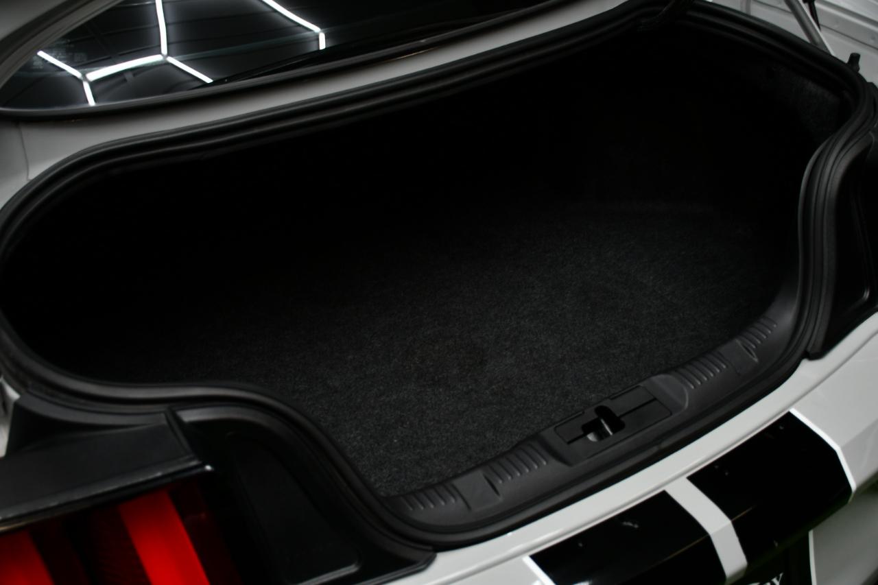 Ford Shelby GT350 Base 2017