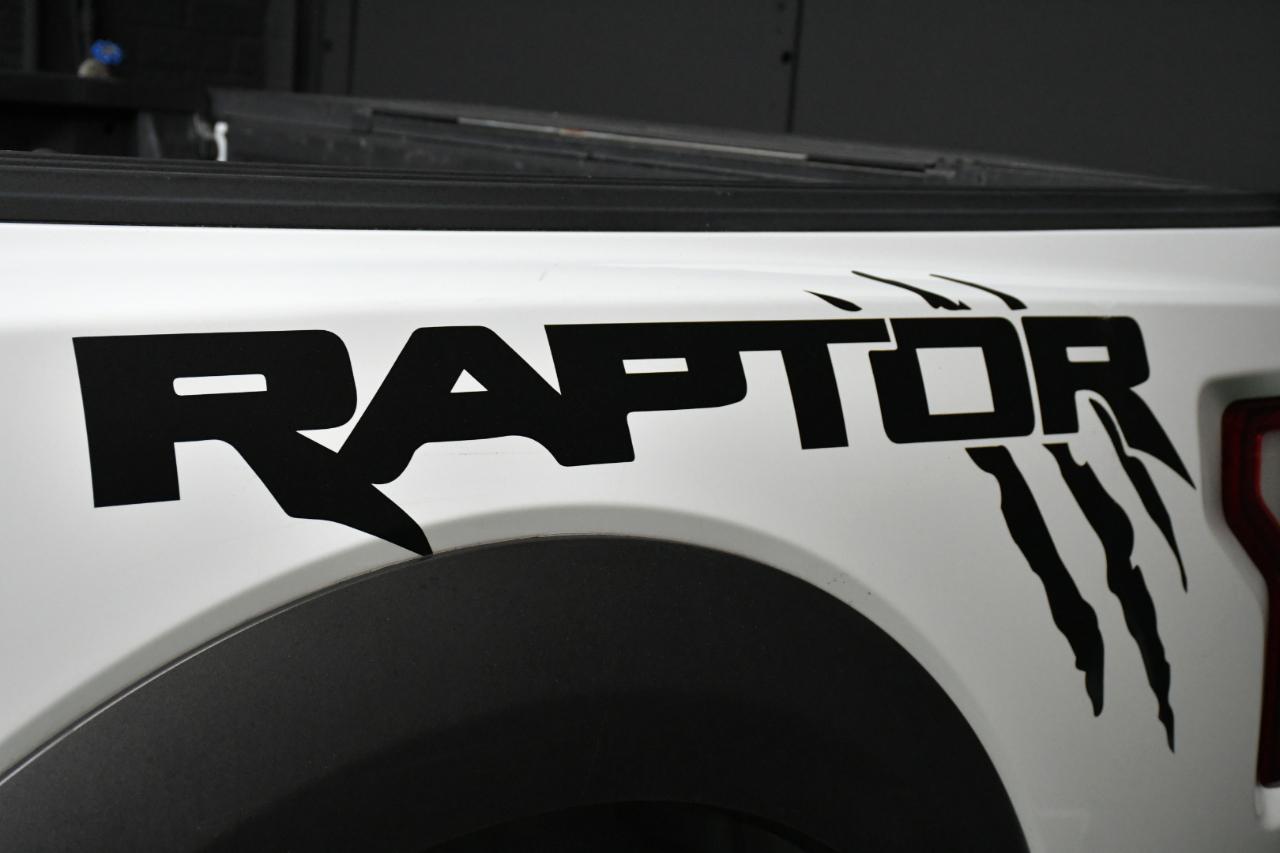 Ford F-150 Raptor SuperCrew 4WD 2019