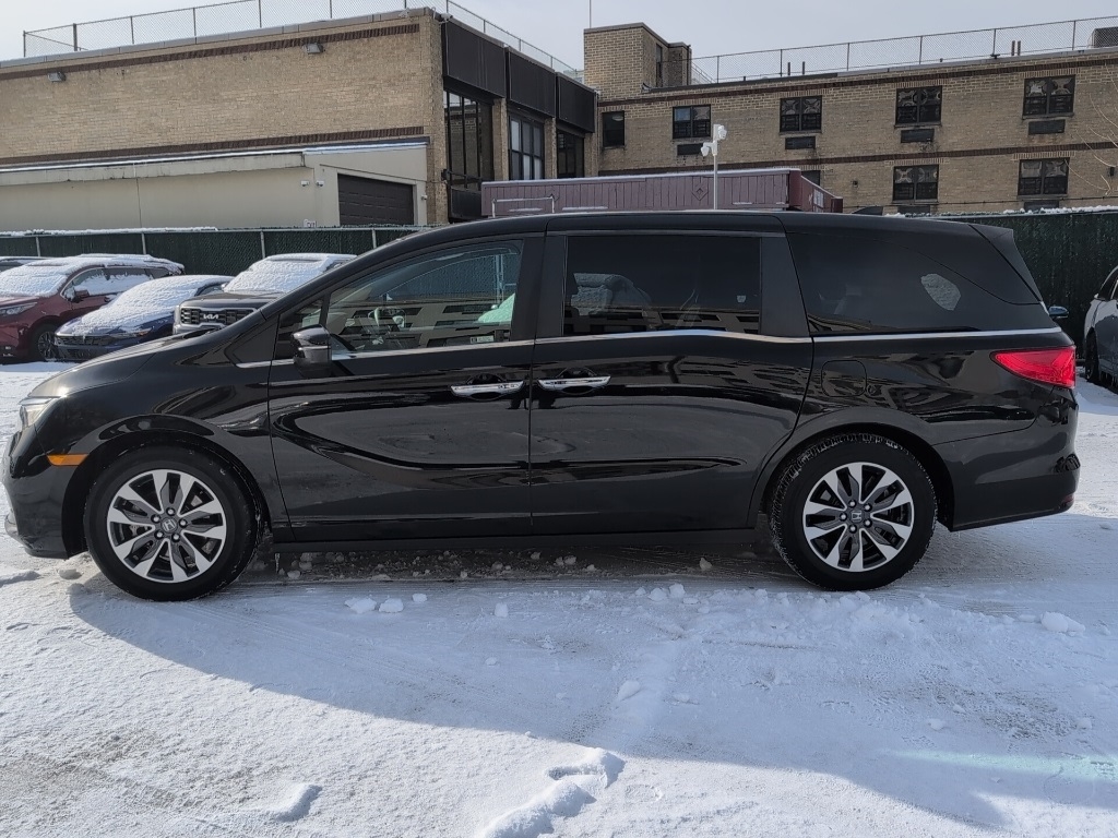 Honda Odyssey  2022