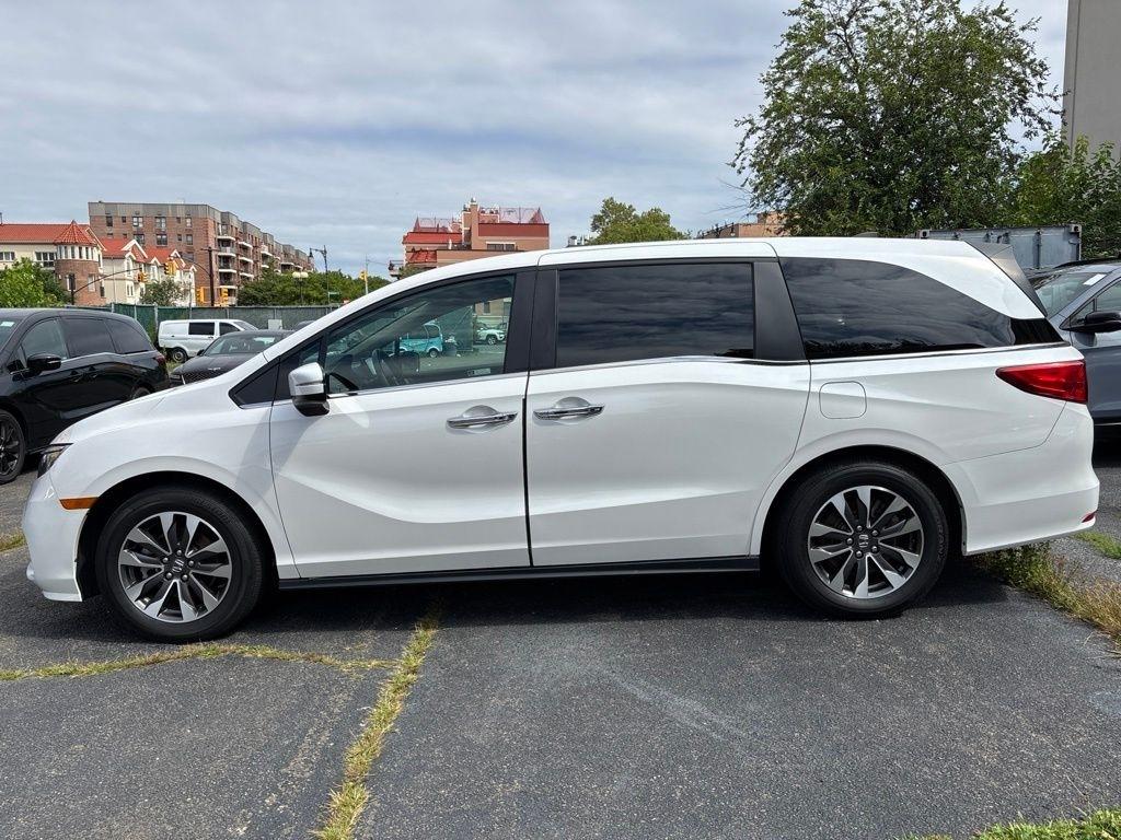 Honda Odyssey  2024