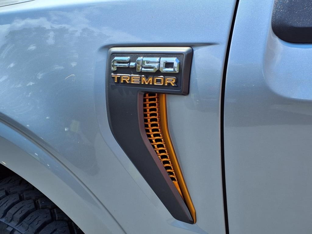 Ford F-150 Tremor SuperCrew 4WD 2022 Ford F-150 Tremor SuperCrew 4WD 2022