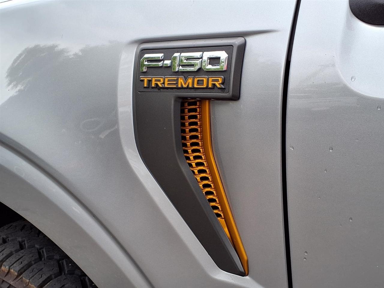Ford F-150 Tremor SuperCrew 4WD 2022