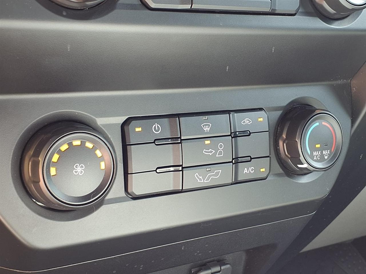 Ford F-150 XL 2WD Reg Cab 8' Box 2019