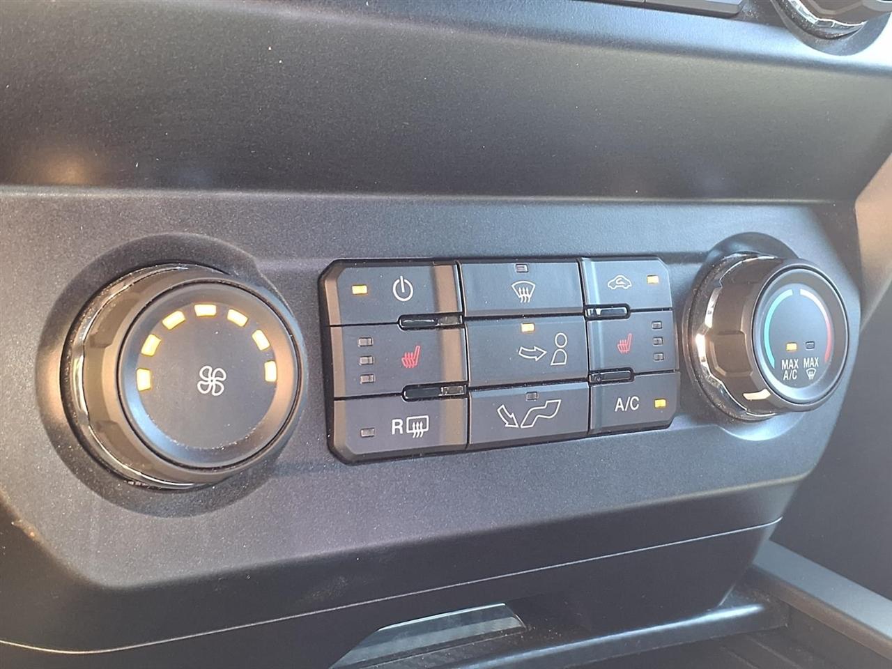 Ford F-150 XLT SuperCrew 5.5-ft. Bed 4WD 2020