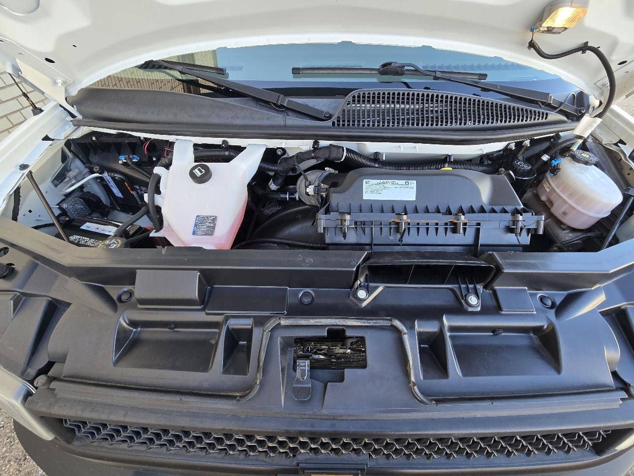 Chevrolet Express Cargo Van RWD 2500 135" 2022