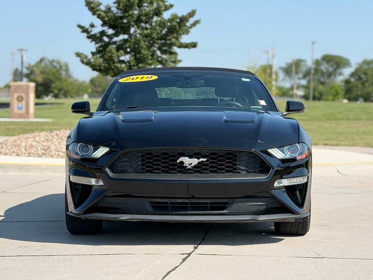Ford Mustang EcoBoost Premium Convertible 2019