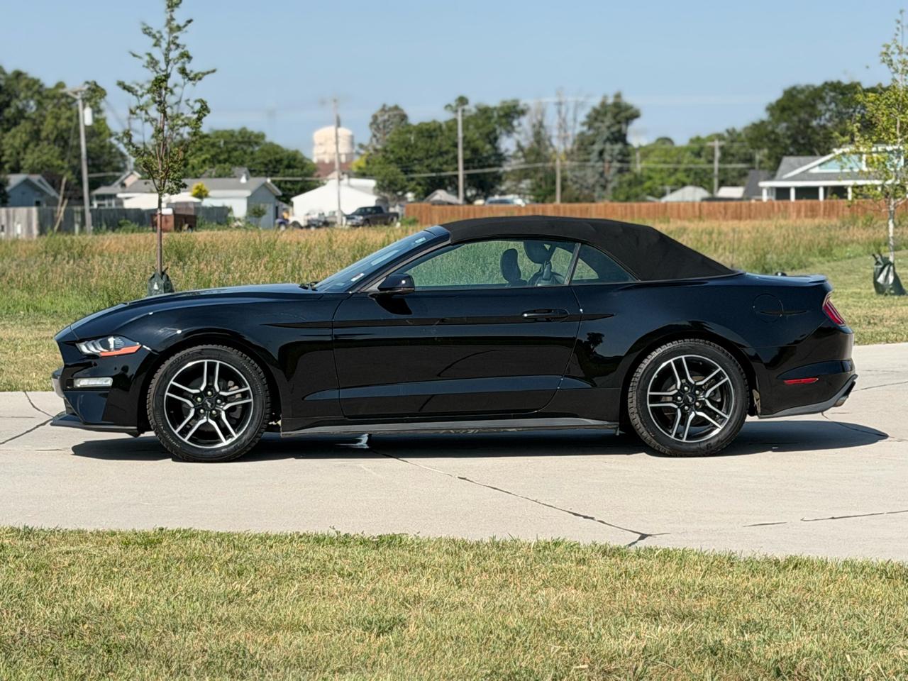 Ford Mustang EcoBoost Premium Convertible 2019